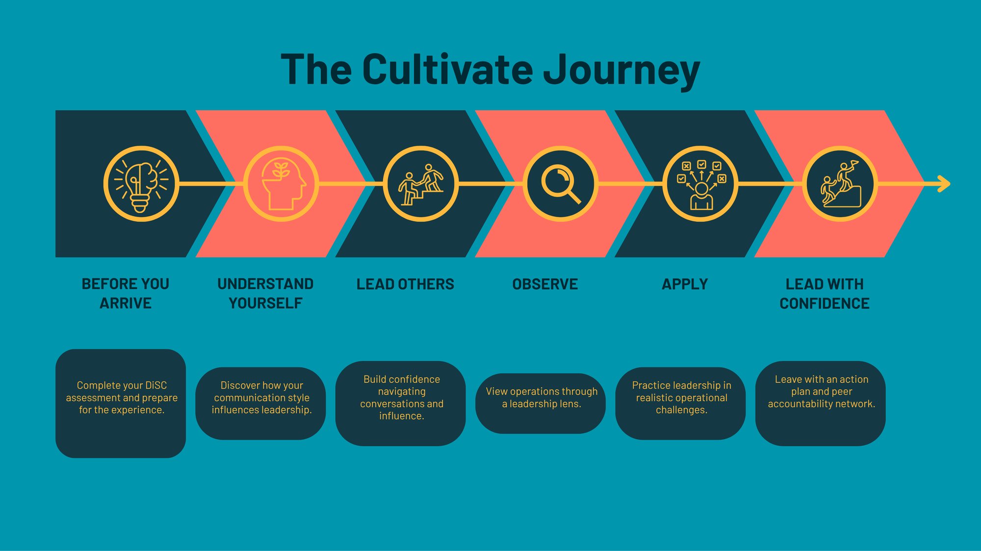 Business growth roadmap (Website) (1)