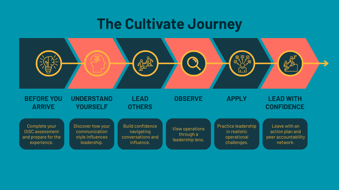 Business growth roadmap (Website) (2)
