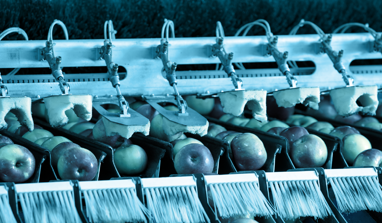 fpsa membership categories-02